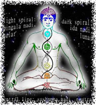 Pingala Nadi, Ida Nadi, and Sushmna Nadi - Click for breathing exercises to understand and control the chakra system.